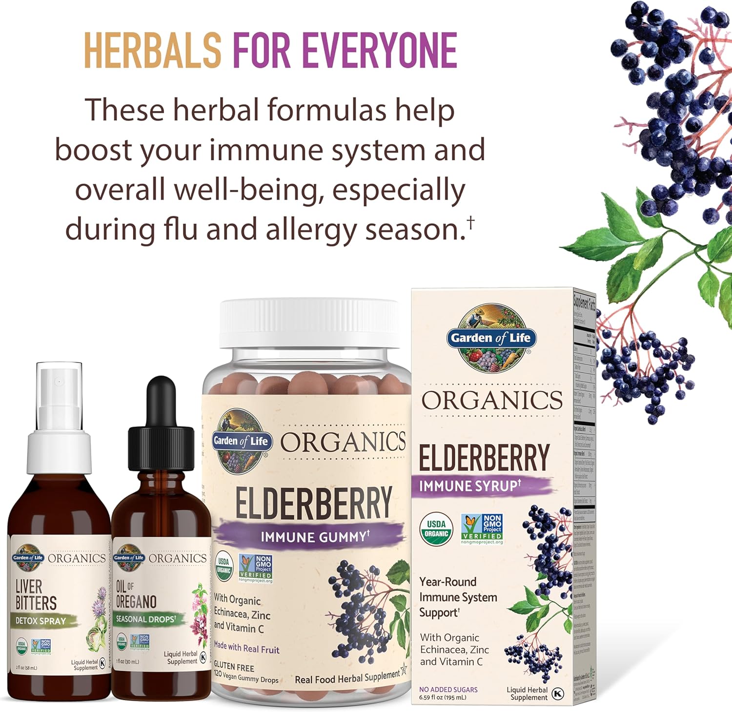 Garden of Life Organics Oil of Oregano Seasonal Drops 1fl oz (30 mL) Liquid, Concentrated Plant Based Immune Support - Alcohol-Free, Organic, Non-GMO, Vegan & Gluten Free Herbal Supplements 24hrsmart